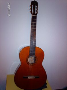 Gitarre